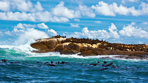 cape-town