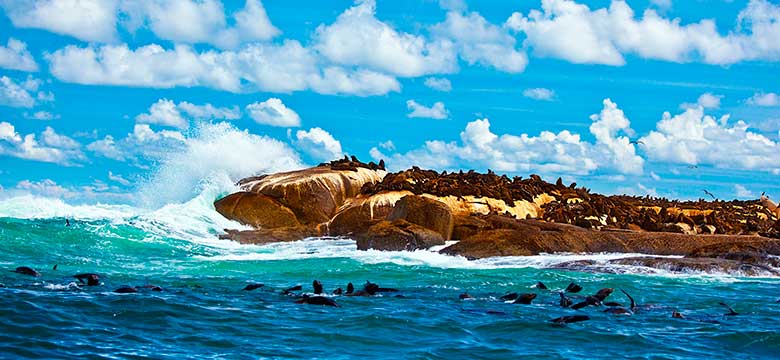 Cape Town