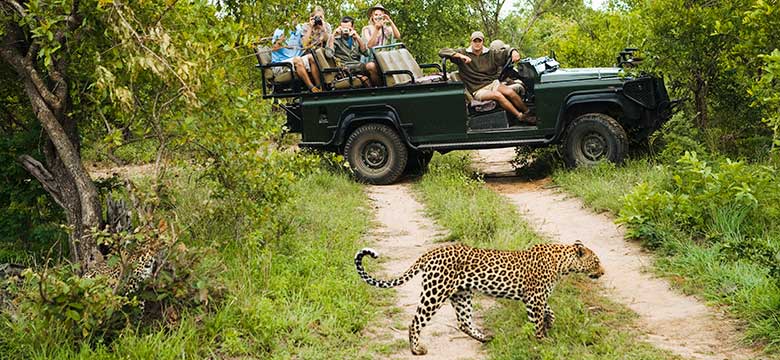 Kruger Park