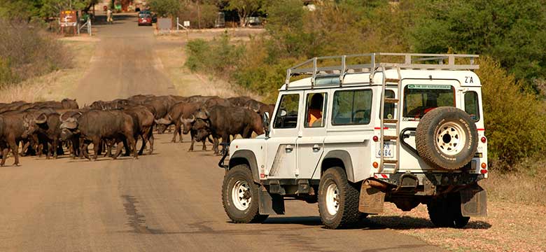 Kruger