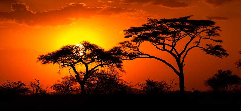 Kruger