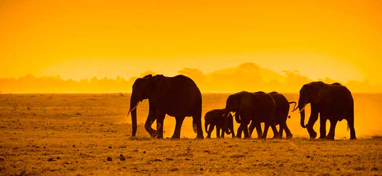 Kruger Park