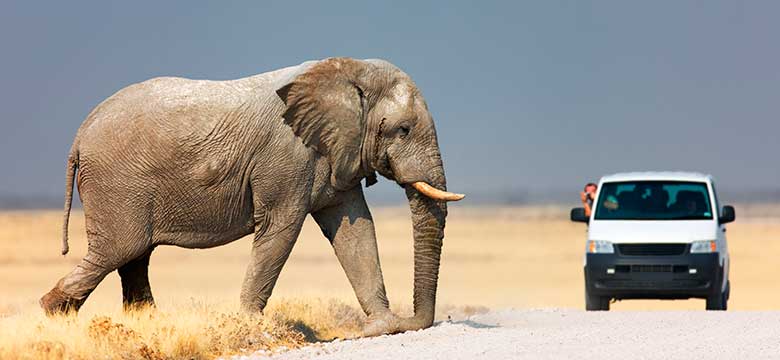 Pacotes de Viagem para África