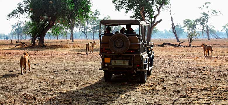 Pacotes de Viagem para África