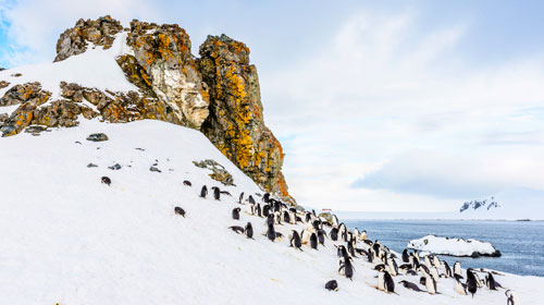 Ilhas Shetland