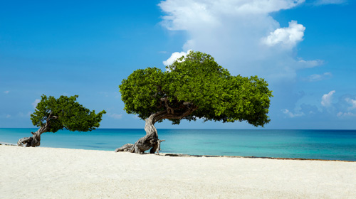 Pacotes de viagem para Aruba
