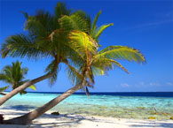 bahamas6