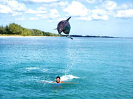 bahamas7