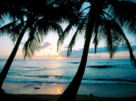 barbados7