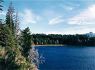Bariloche - Lago Nahuel Huapi