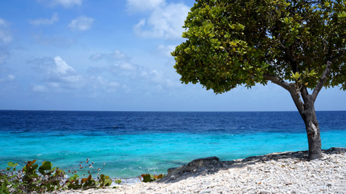 Pacotes para Bonaire