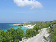 bonaire14