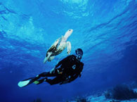 bonaire2