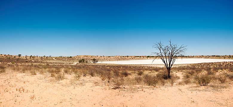 Pacotes de Viagem para Botswana
