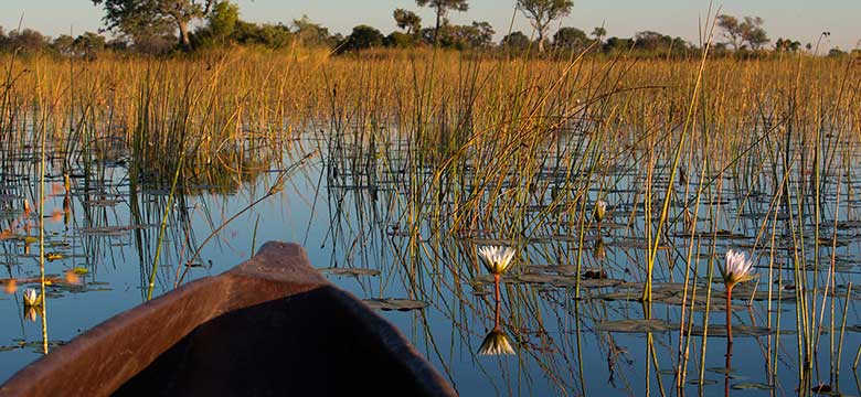 Pacotes de Viagem para Botswana