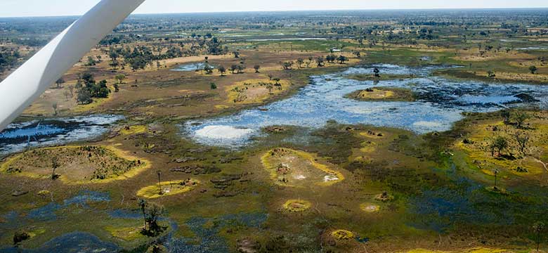 Pacotes de Viagem para Botswana
