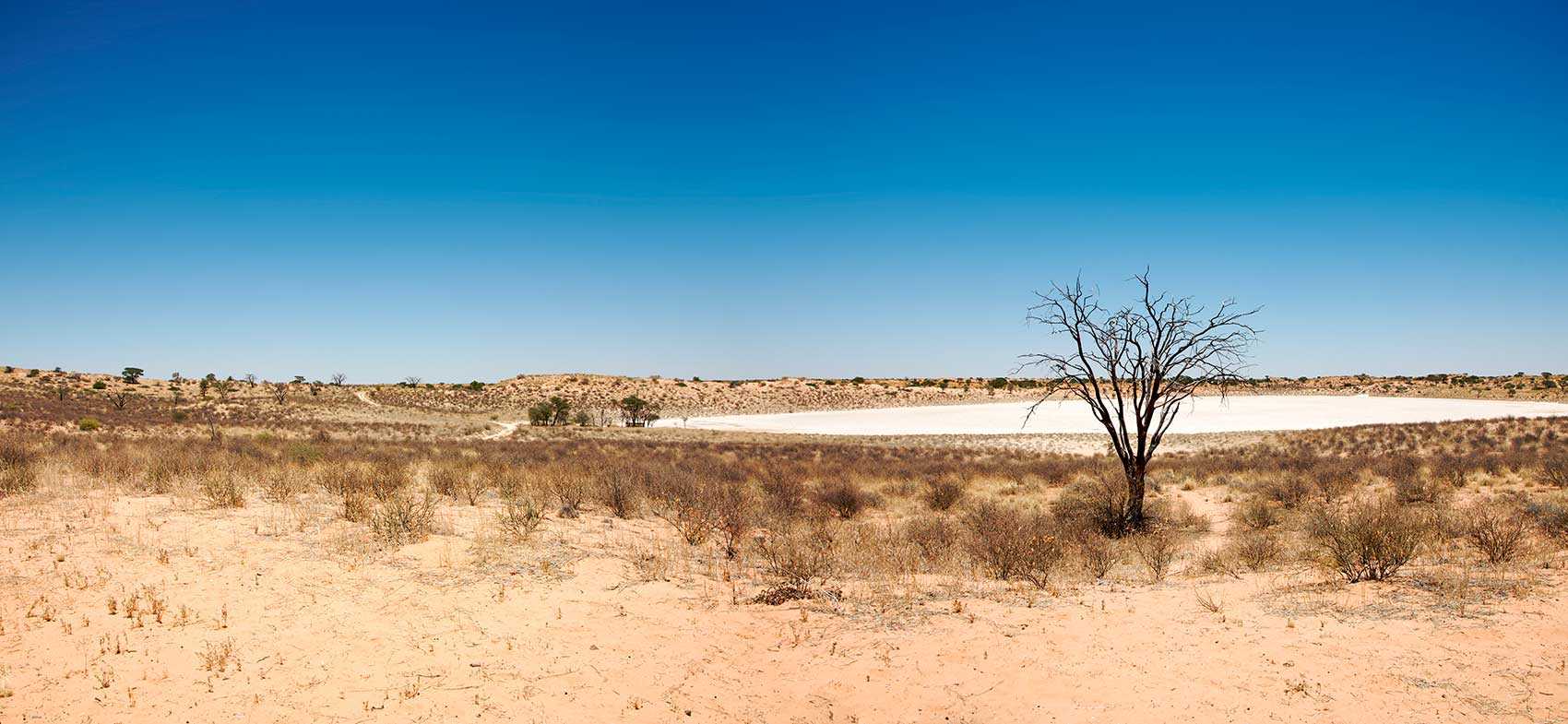 Pacotes de Viagem para Botswana