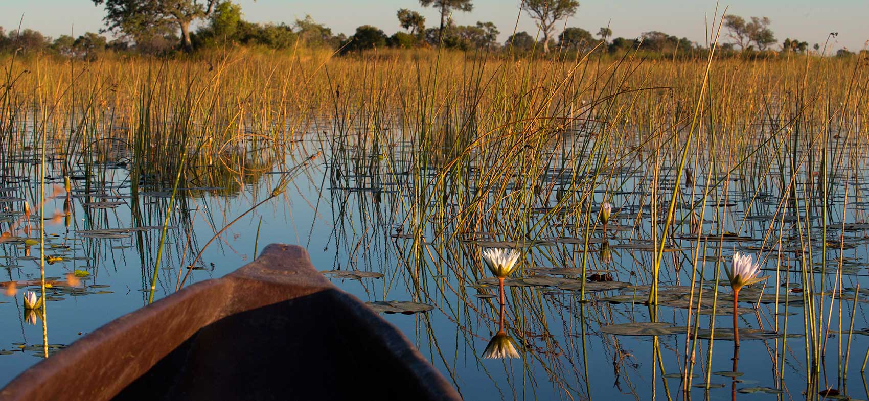 Pacotes de Viagem para Botswana