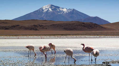 Pacotes de Viagens para Deserto do Atacama