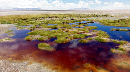 Pacotes de Viagens para Deserto do Atacama