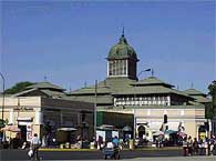Mercado Municipal