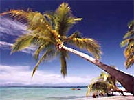 Costa Caribenha - Costa Rica