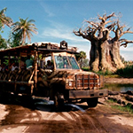 Atrações Animal Kingdom