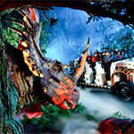Atrações Animal Kingdom