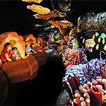 Atrações Epcot Center