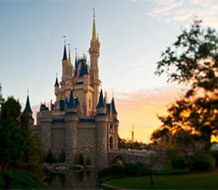 Disney Magic Kingdom