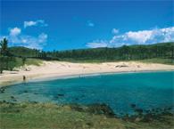 Pacotes para Praia de Anakena - Ilha de Páscoa