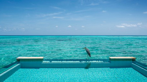 Sunset / Sunrise Two Bedroom Water Suite