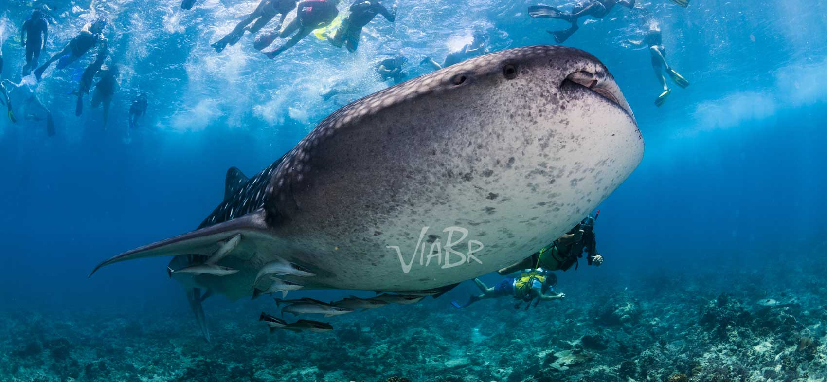 Pacote de viagem para Ilhas Maldivas