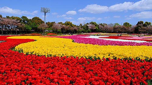 Nabana no Sato