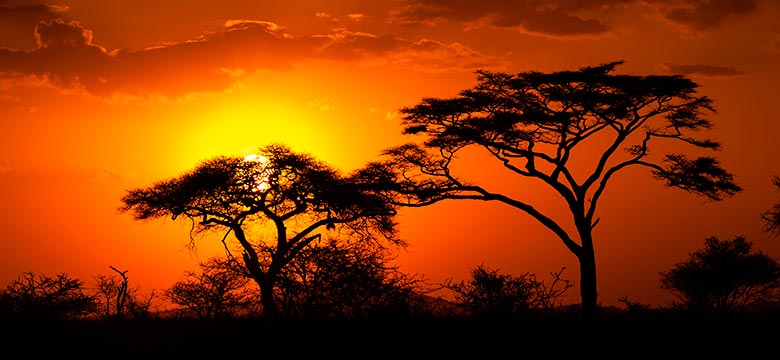 Serengeti
