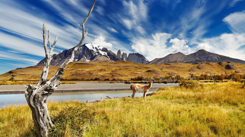 Pacotes de Viagens para Patagônia