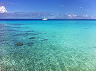 Moorea