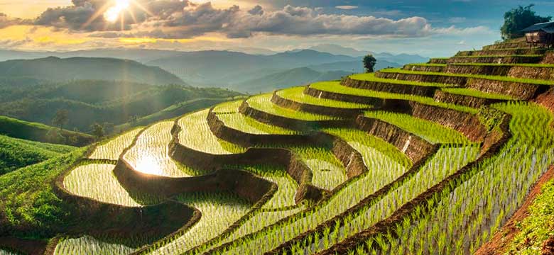 Chiang Mai