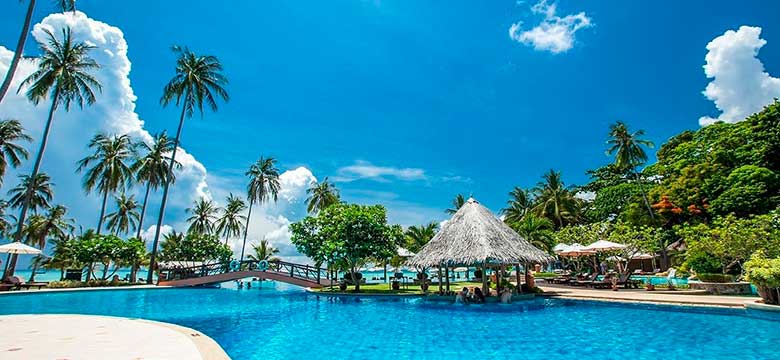 Phi Phi Island