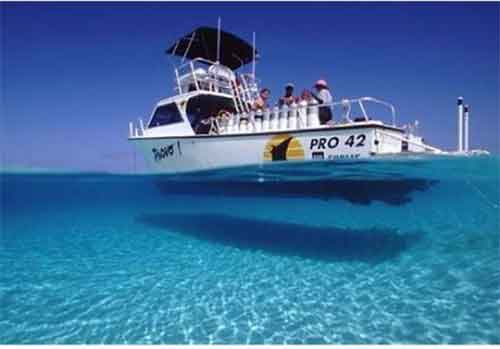 Pesca - Turks & Caicos