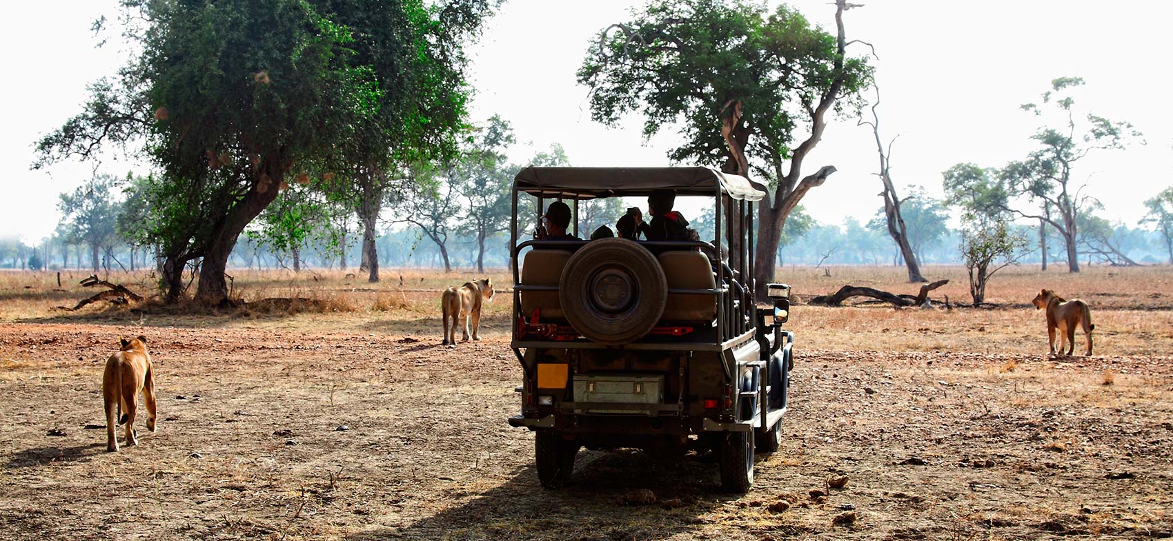 Pacotes de Viagem para Zâmbia