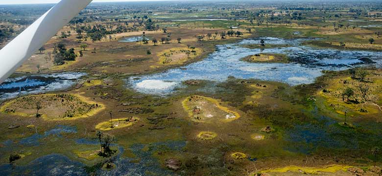 Delta do Okavango
