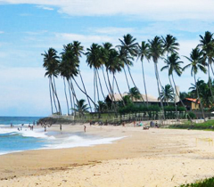 Destino Nacional - Porto de Galinhas