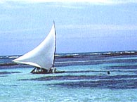 Maragogi