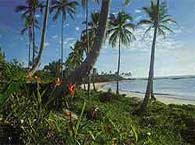 Praia de Pipa