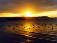 Baía Formosa