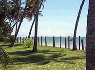 Patachocas Eco Resort - Serviços