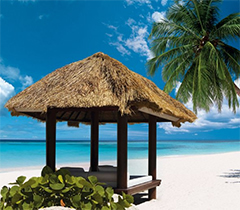 Pacotes Férias de Janeiro Punta Cana