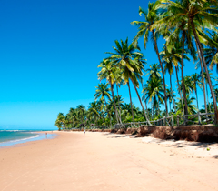 Viagem dezembro Brasil
