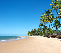 Viagem outubro brasil Viagem_novembro_brasil